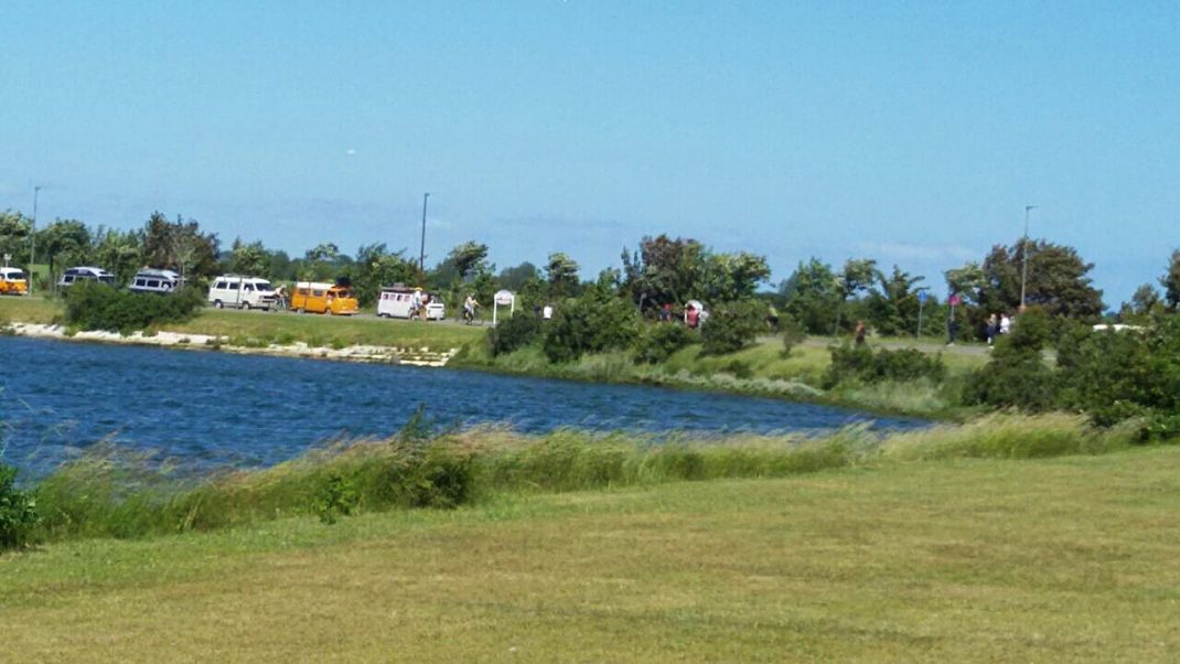 Oldtimer und Youngtimer parken an einem See auf einem Wiesen-Campingplatz beim Midsummer Bulli Festival auf Fehmarn