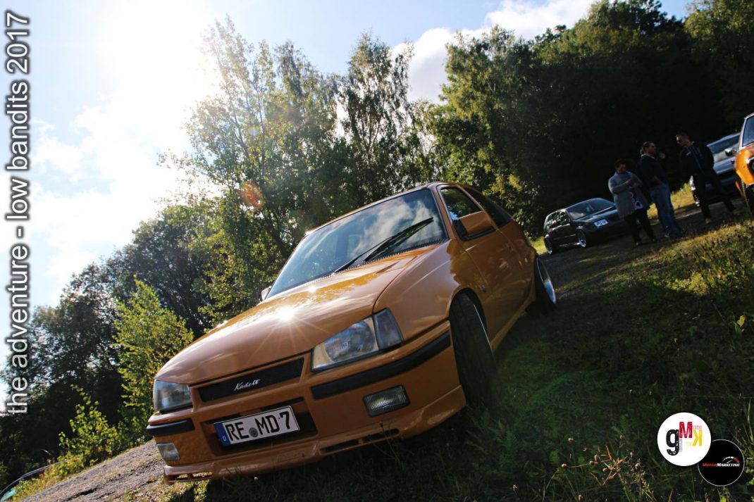 Goldener Youngtimer-Limousine auf Wiese mit Besuchern bei Treffen 2017