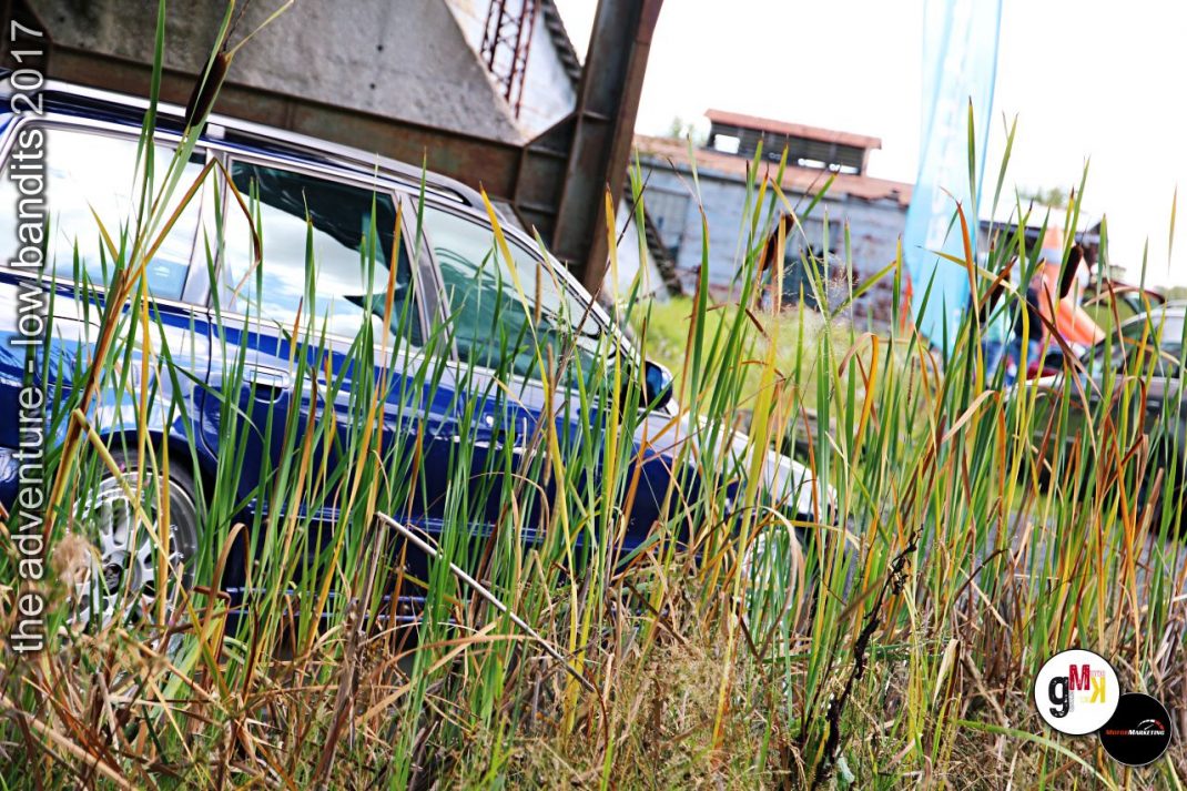 Oldtimer-Cabriolet mit Blaumetallic-Lackierung hinter verwildertem Uferbewuchs bei Rallye-Veranstaltung