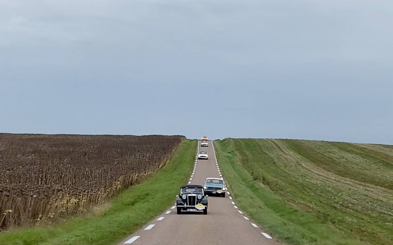 Oldtimer-Konvoi auf flacher Landstraße zwischen Feldern auf der ADAC Saarland Historic Rallye