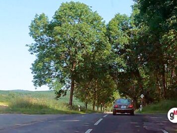 Roter Oldtimer fährt unter einer Allee aus Laubbäumen auf hügeliger Landschaft während der ADAC Oldtimerfahrt Hessen-Thüringen