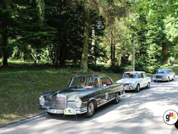 Mehrere Oldtimer-Limousinen parken auf einer Allee während der ADAC Oldtimerfahrt Hessen-Thüringen