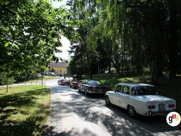Oldtimer-Limousinen und Cabrios fahren durch eine von Bäumen gesäumte Allee während der ADAC Oldtimerfahrt Hessen-Thüringen