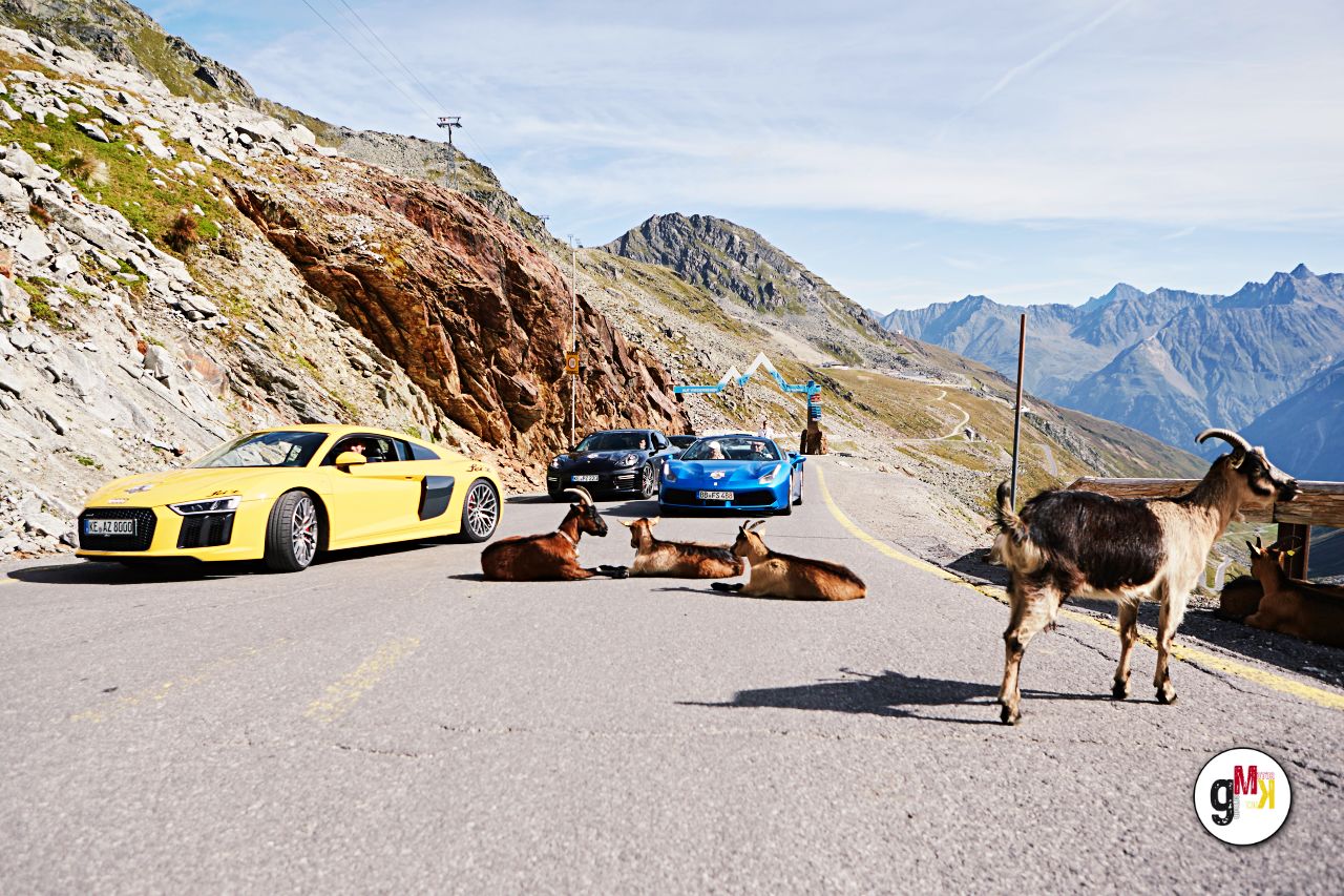 Sportwagen-Karawane auf Alpenpasse mit Ziegen, gelber und blauer Supersportwagen auf Bergstraße mit Felswand und Gebirgspanorama